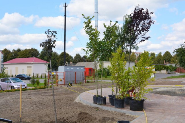 У Луцьку біля перинатального центру з'явився «Сквер майбутнього»