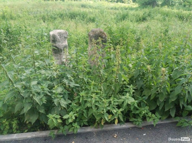 Алея з реставрованими скульптурами Миколи Голованя заросла кропивою