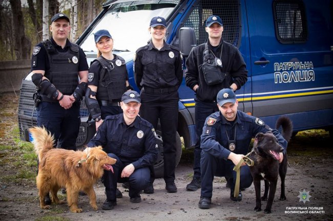 Добро робити легко: як волинські патрульні фотографувалися з безпритульними песиками