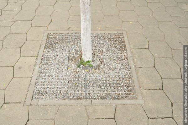 Луцьк - погляд зі сторони. ФОТО