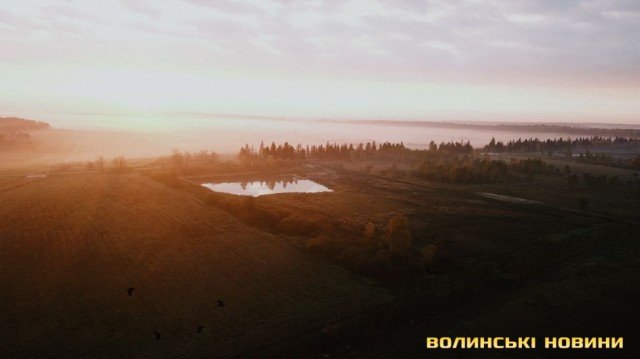 «Цуманська пуща» не гірша за Єллоустоун: захоплюючі кадри волинського нацпарку