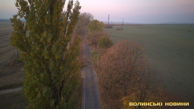 «Цуманська пуща» не гірша за Єллоустоун: захоплюючі кадри волинського нацпарку