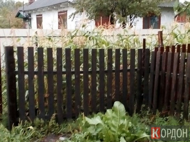 Захаращена каналізація: у волинському місті негода затопила вулицю. ФОТО