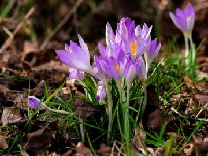 Погода зміниться: на Волині прогнозують дощі та похолодання 