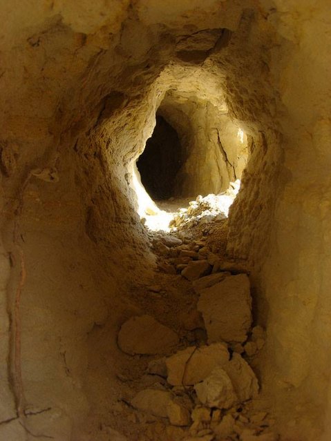 Волинський фотограф показав неймовірну природу Волині у різні пори року. ФОТО