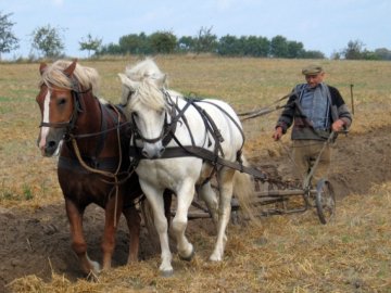 Українці, які обробляють великі земельні ділянки, мають декларувати доходи - ДПС