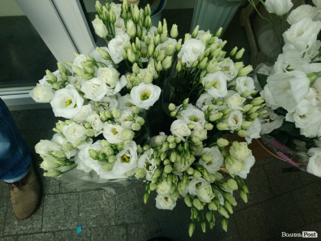 «Квітковий бум» на перший дзвоник: ціни в Луцьку. ФОТО