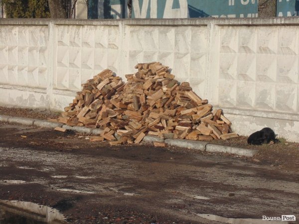 База луцьких ВВшників в облозі. ФОТО