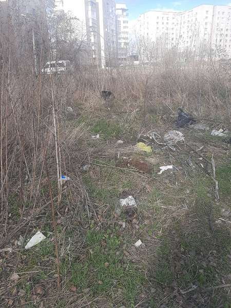 Луцька школярка запустила екологічний челендж. ФОТО