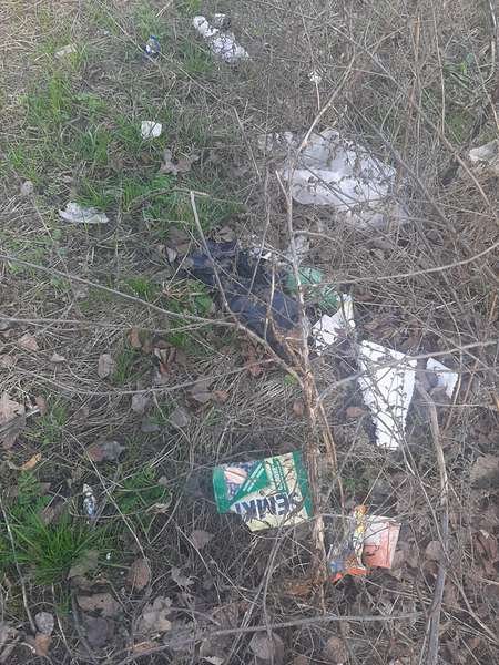 Луцька школярка запустила екологічний челендж. ФОТО