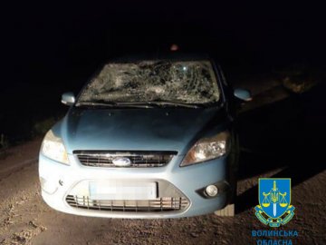 Судили волинянина, який п'яним збив двох пішоходів