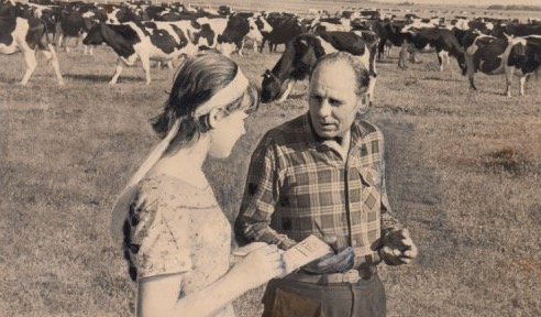 Випасання худоби. Десь у Волинській області.