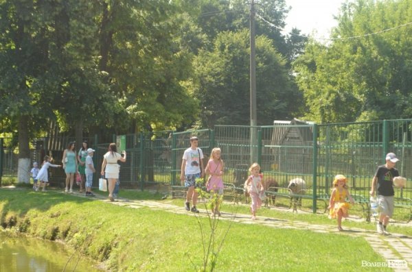 Благодійна акція у Луцькому зоопарку. ФОТО