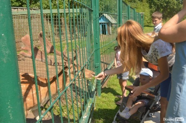 Благодійна акція у Луцькому зоопарку. ФОТО