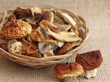 На Волині знайшли гриби з радіацією 