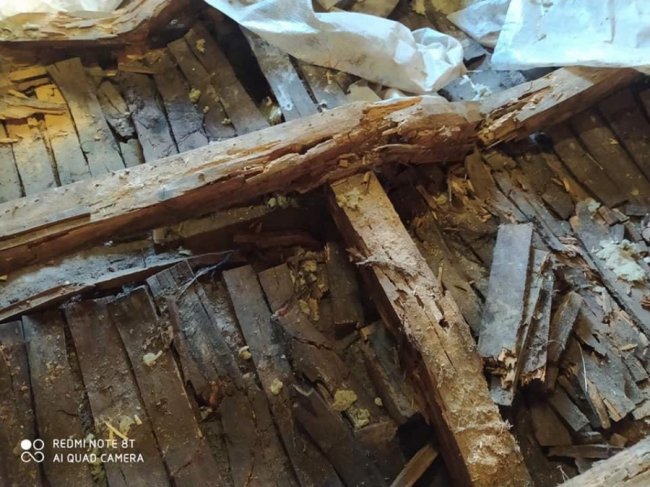 Як базу ВНУ імені Лесі Українки на Світязі причепурили до нового сезону відпочинку