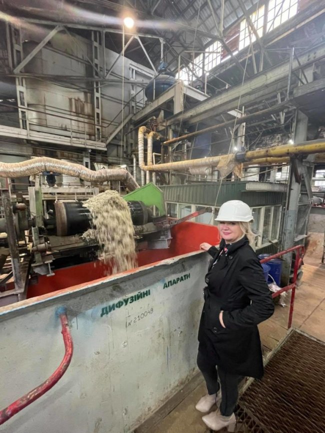 «У цукроварів дві проблеми: погода і ціна на газ»: особливості нового сезону на Гнідавському цукровому заводі 