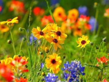 Яке свято 19 липня: чого не можна робити в цей день