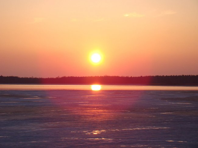 На Волинь прилетіли жайворонки. ФОТО