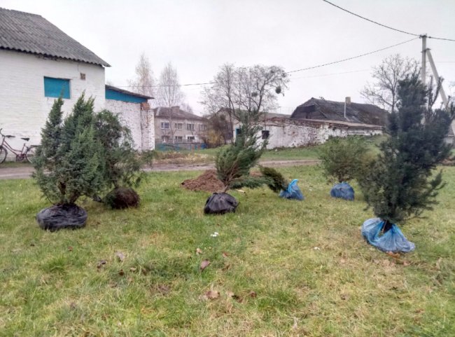 Волинські школярі за ідею дендропарків отримали нагороди