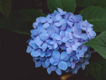 Добрі новини від ВолиньPost за 4 серпня