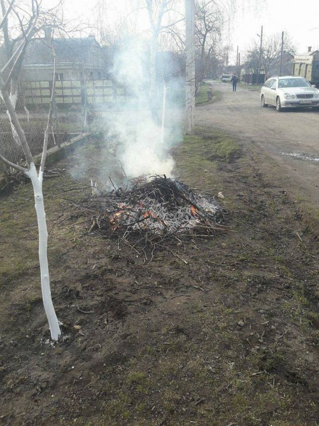 Багаття біля будинку загрожує лучанам штрафом