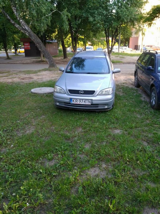 Луцькі муніципали штрафують водіїв за авто на газонах. ФОТО