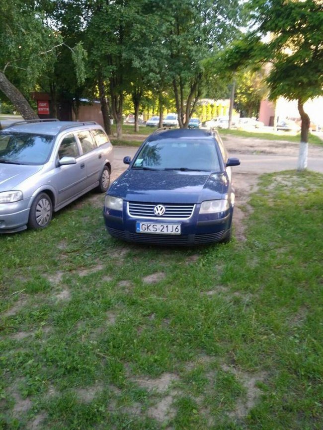 Луцькі муніципали штрафують водіїв за авто на газонах. ФОТО