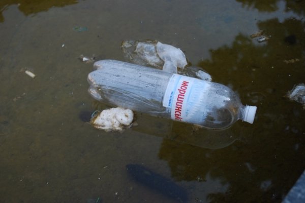 «Трофеї» луцьких фонтанів. ФОТО