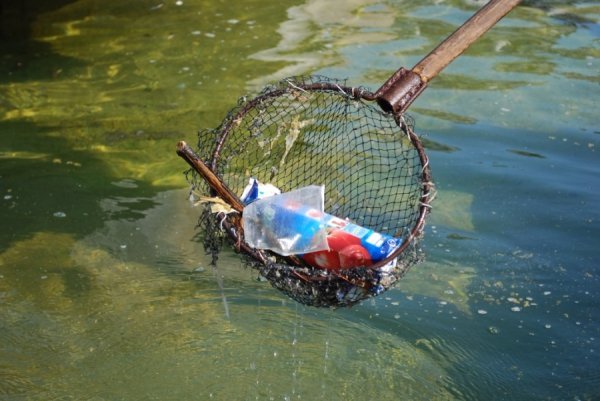 «Трофеї» луцьких фонтанів. ФОТО