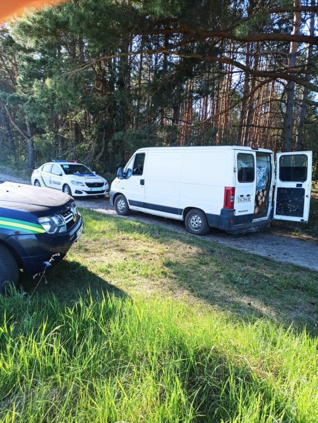 Комбо: на Волині спіймали п'яного водія з краденою деревиною. ФОТО