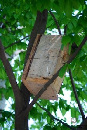 Першотравневий Луцьк. ФОТО