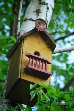 Першотравневий Луцьк. ФОТО