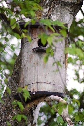 Першотравневий Луцьк. ФОТО