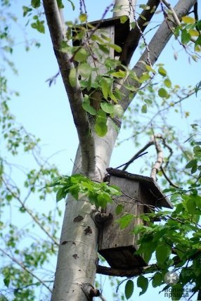 Першотравневий Луцьк. ФОТО