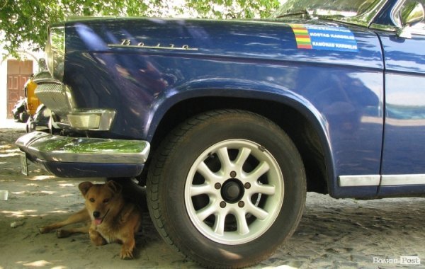 До Луцького замку прибув кортеж ретроавтомобілів. ФОТО