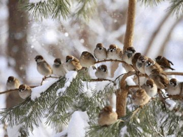 12 грудня – яке сьогодні свято та що не можна робити в цей день
