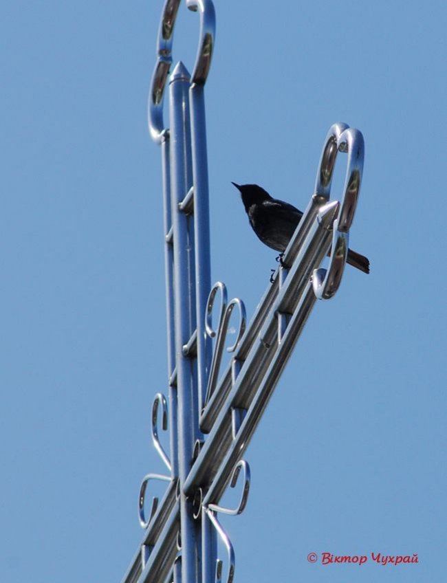 Останній день квітня на світлинах відомого луцького фотографа. ФОТО