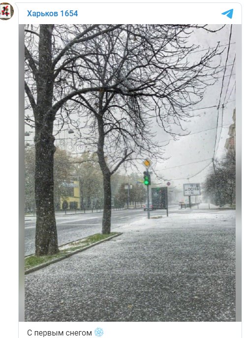 Діти ліплять перших сніговиків: міста України засипає першим снігом. ФОТО