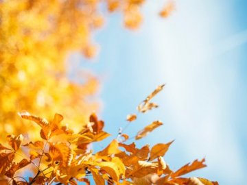 «З денним сонцем та холодними ночами»: якою буде погода в Україні у найближчі дні