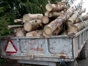 На Волині затримали трактор з «неправильним» лісом