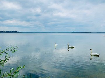 На Шацьких озерах перевірили якість води