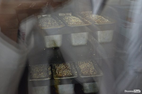 У Луцьку показали, як печуть хліб. ФОТО