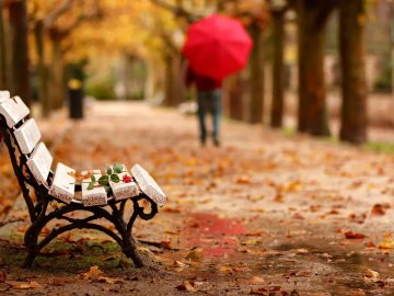 Яке свято 7 листопада: чого не можна робити в цей день