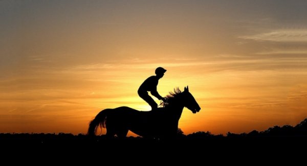 15. Вершник. Лінгфілд, Великобританія. (Фото Charlie Crowhurst):