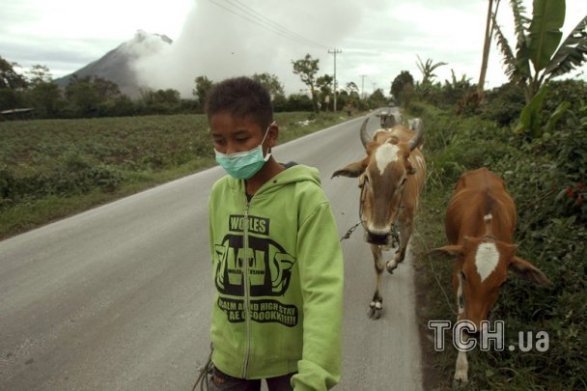 Виверження вулкану Сінабург в Індонезії. ФОТО. ВІДЕО