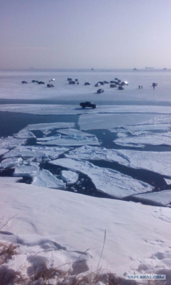 Майже 30 авто та півсотні людей віднесло в море на крижині у Росії