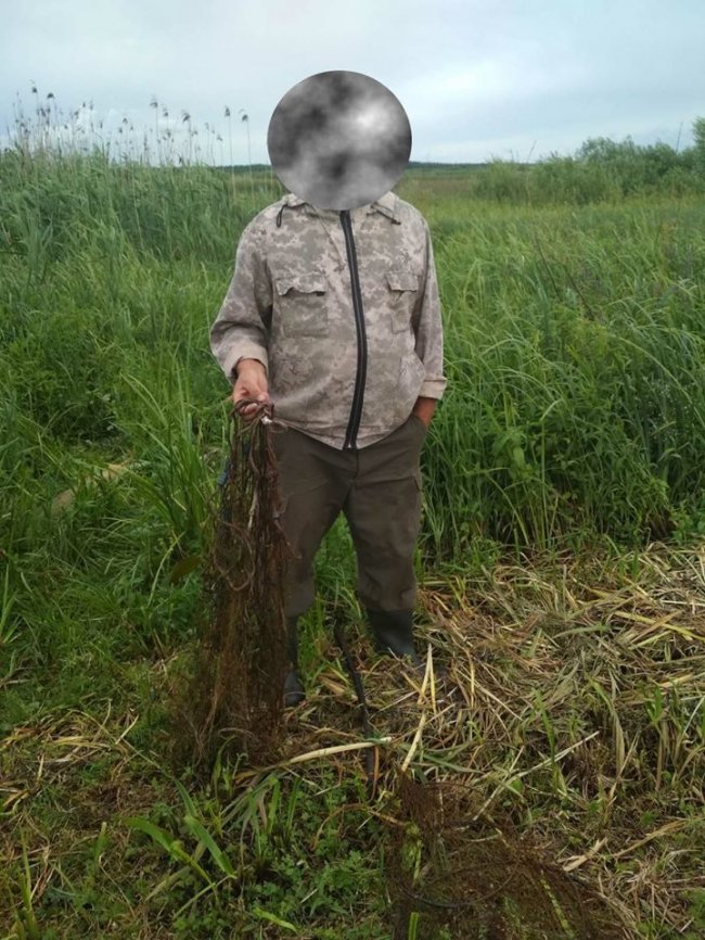 У нацпарку на Волині затримали браконьєра, який ловив рибу сіткою 