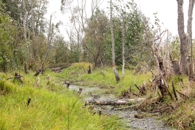 Давно забутий Трохимбрід на світлинах волинського фотографа
