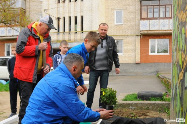 Фруктові дерева і барвистий дитячий майданчик: у Луцьку впорядкували двір. ФОТО